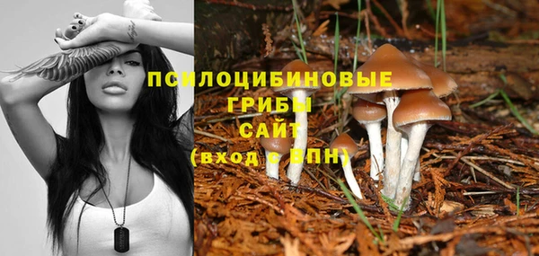 трава Алексин