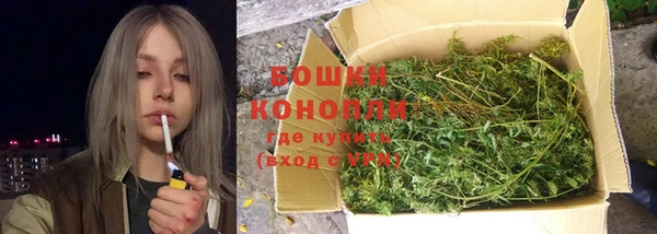 spice Алексеевка
