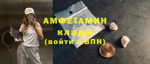 винт Абаза