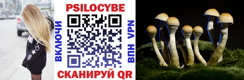 Псилоцибиновые грибы мухоморы  Чехов 